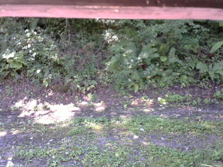 長野県菅平高原 ゆたか山荘 南側 2025/09/02 09:45