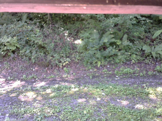 長野県菅平高原 ゆたか山荘 南側 2025/09/02 10:00