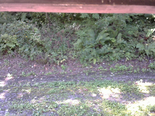 長野県菅平高原 ゆたか山荘 南側 2025/09/02 10:15