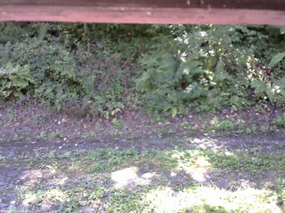 長野県菅平高原 ゆたか山荘 南側 2025/09/02 10:30