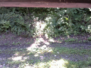 長野県菅平高原 ゆたか山荘 南側 2025/09/02 10:45