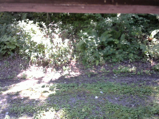 長野県菅平高原 ゆたか山荘 南側 2025/09/02 11:00