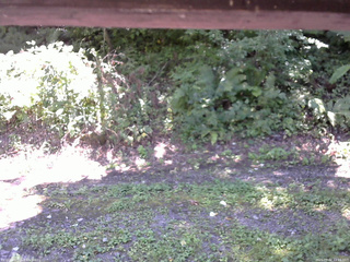 長野県菅平高原 ゆたか山荘 南側 2025/09/02 11:15