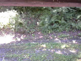 長野県菅平高原 ゆたか山荘 南側 2025/09/02 11:30