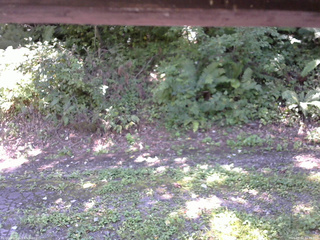 長野県菅平高原 ゆたか山荘 南側 2025/09/02 11:45