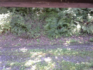 長野県菅平高原 ゆたか山荘 南側 2025/09/02 12:00