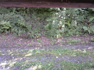 長野県菅平高原 ゆたか山荘 南側 2025/09/02 12:15