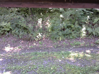 長野県菅平高原 ゆたか山荘 南側 2025/09/02 12:30