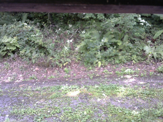 長野県菅平高原 ゆたか山荘 南側 2025/09/02 12:45