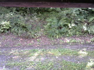 長野県菅平高原 ゆたか山荘 南側 2025/09/02 13:00