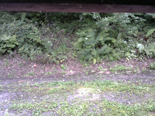 長野県菅平高原 ゆたか山荘 南側 2025/09/02 13:15