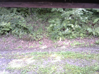 長野県菅平高原 ゆたか山荘 南側 2025/09/02 13:30