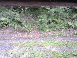 長野県菅平高原 ゆたか山荘 南側 2025/09/02 13:45