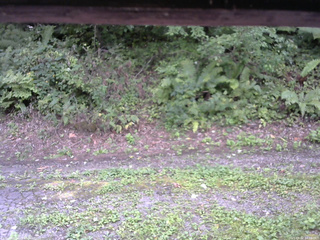 長野県菅平高原 ゆたか山荘 南側 2025/09/02 14:00