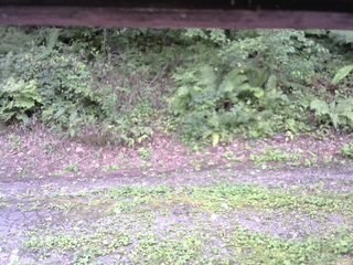 長野県菅平高原 ゆたか山荘 南側 2025/09/02 14:15