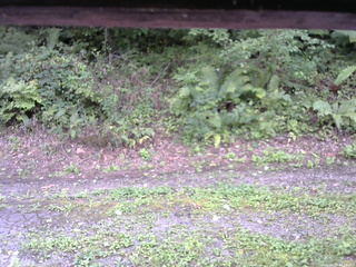 長野県菅平高原 ゆたか山荘 南側 2025/09/02 14:30