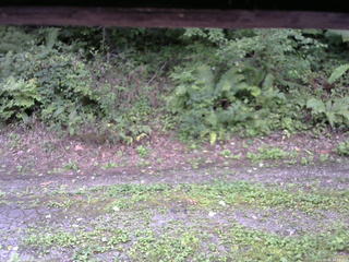 長野県菅平高原 ゆたか山荘 南側 2025/09/02 14:45