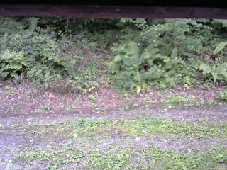 長野県菅平高原 ゆたか山荘 南側 2025/09/02 15:00