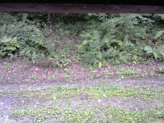 長野県菅平高原 ゆたか山荘 南側 2025/09/02 15:15