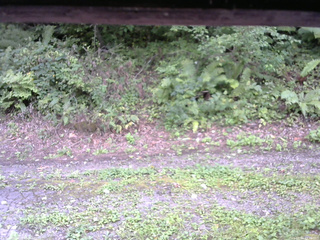 長野県菅平高原 ゆたか山荘 南側 2025/09/02 15:30