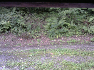 長野県菅平高原 ゆたか山荘 南側 2025/09/02 16:00