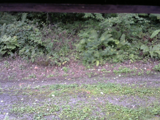 長野県菅平高原 ゆたか山荘 南側 2025/09/02 16:15