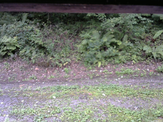 長野県菅平高原 ゆたか山荘 南側 2025/09/02 16:30