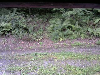 長野県菅平高原 ゆたか山荘 南側 2025/09/02 16:45