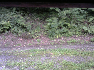 長野県菅平高原 ゆたか山荘 南側 2025/09/02 17:00