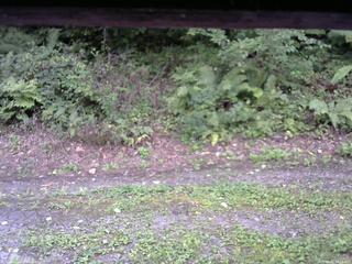 長野県菅平高原 ゆたか山荘 南側 2025/09/02 17:15