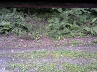 長野県菅平高原 ゆたか山荘 南側 2025/09/02 17:30