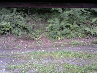 長野県菅平高原 ゆたか山荘 南側 2025/09/02 17:45