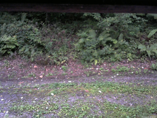 長野県菅平高原 ゆたか山荘 南側 2025/09/02 18:00