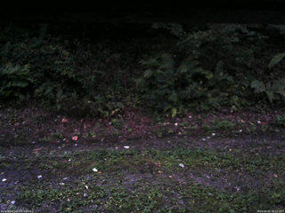 長野県菅平高原 ゆたか山荘 南側 2025/09/02 18:15