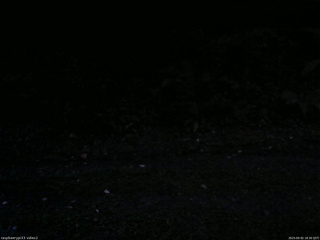 長野県菅平高原 ゆたか山荘 南側 2025/09/02 18:30