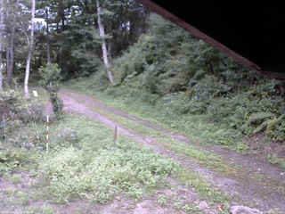 長野県菅平高原 ゆたか山荘 東側(坂下) 2025/09/02 15:15
