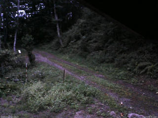 長野県菅平高原 ゆたか山荘 東側(坂下) 2025/09/02 18:15
