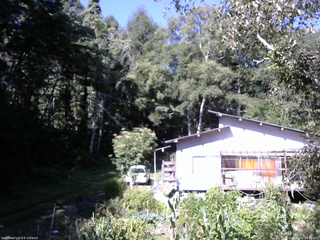 長野県菅平高原 ゆたか山荘 西側(坂上) 2025/09/02 08:45