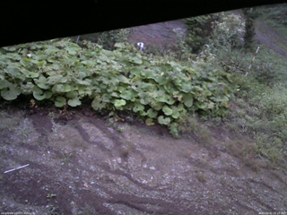 長野県菅平高原 ゆたか山荘 駐車場 2025/09/02 05:15