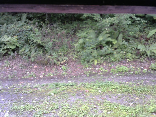 長野県菅平高原 ゆたか山荘 南側 2025/09/03 08:00