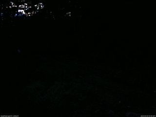 長野県菅平高原 ゆたか山荘 東側(坂下) 2025/09/03 05:00