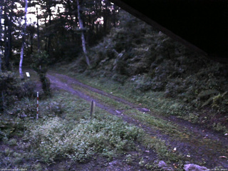 長野県菅平高原 ゆたか山荘 東側(坂下) 2025/09/03 05:15