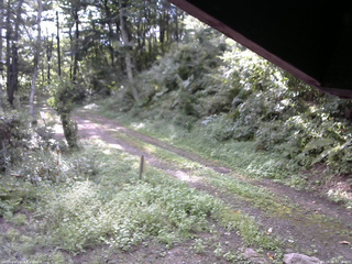 長野県菅平高原 ゆたか山荘 東側(坂下) 2025/09/03 07:15