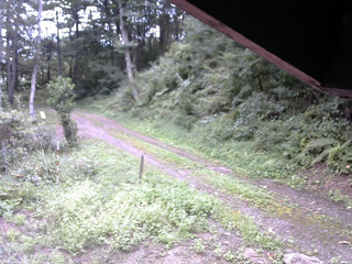 長野県菅平高原 ゆたか山荘 東側(坂下) 2025/09/03 07:45