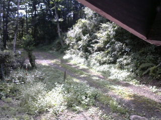 長野県菅平高原 ゆたか山荘 東側(坂下) 2025/09/03 08:15