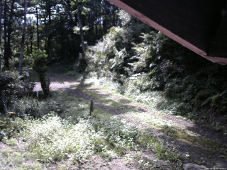 長野県菅平高原 ゆたか山荘 東側(坂下) 2025/09/03 08:30