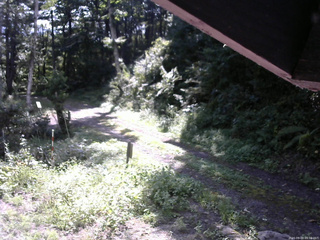長野県菅平高原 ゆたか山荘 東側(坂下) 2025/09/03 09:00