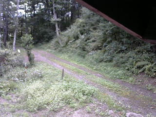長野県菅平高原 ゆたか山荘 東側(坂下) 2025/09/03 09:30