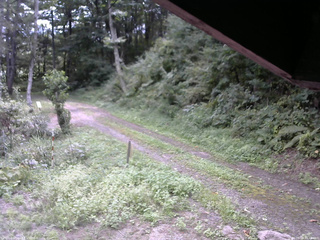 長野県菅平高原 ゆたか山荘 東側(坂下) 2025/09/03 10:45