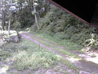 長野県菅平高原 ゆたか山荘 東側(坂下) 2025/09/03 11:45